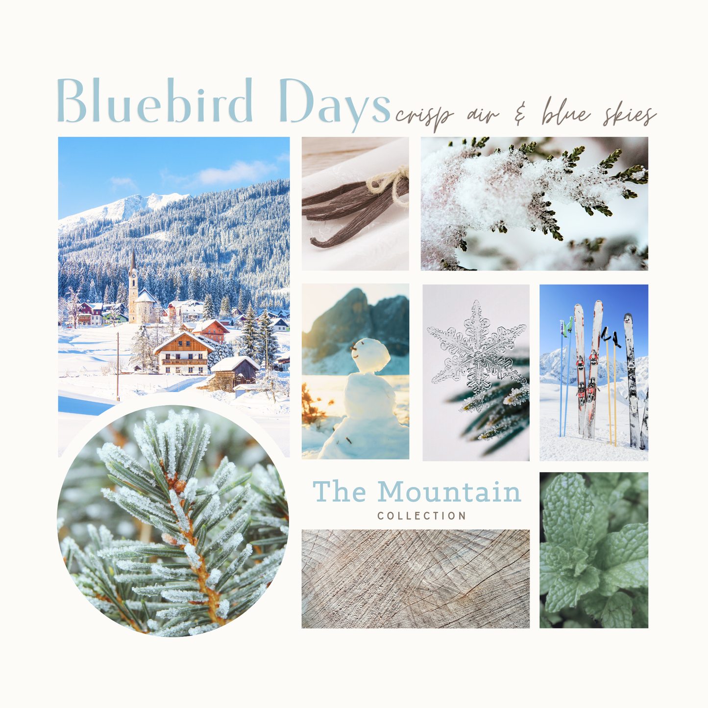 Bluebird Days