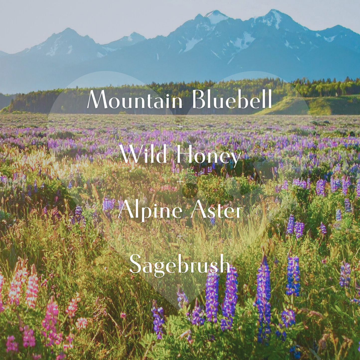 High Meadow