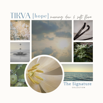 Hope | Tikva