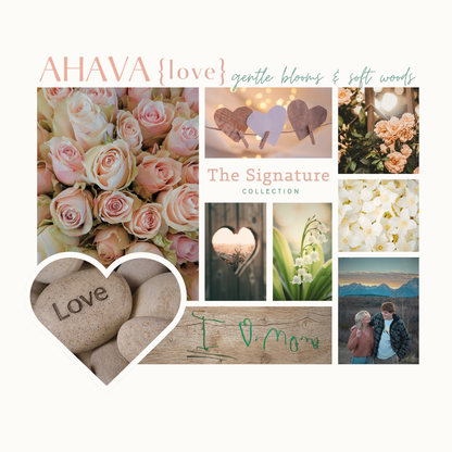 Love | Ahava