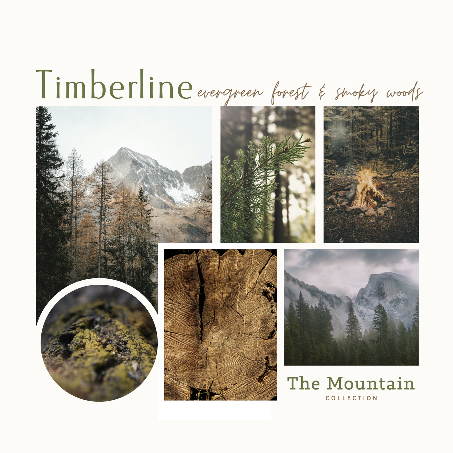 Timberline