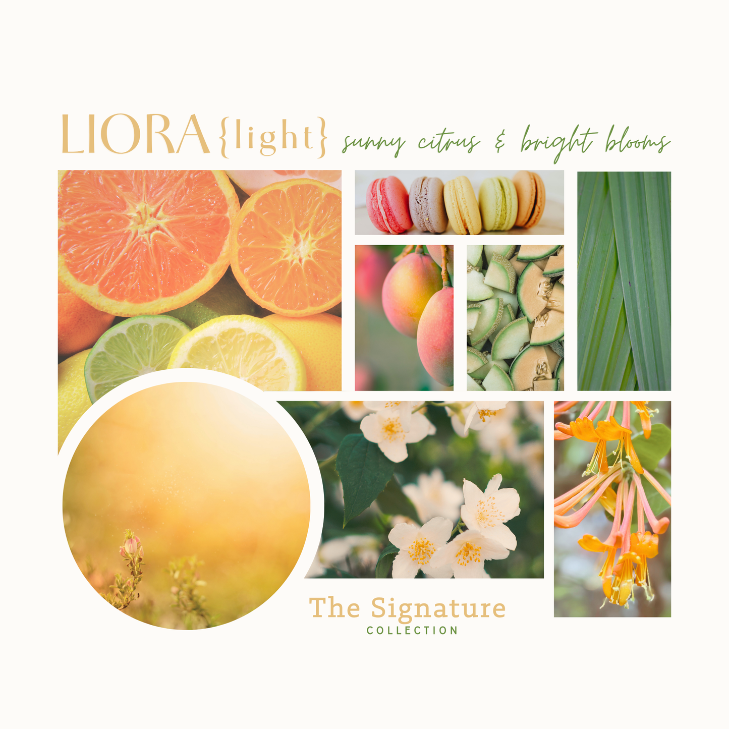 Light | Liora