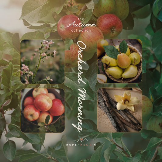 Orchard Morning