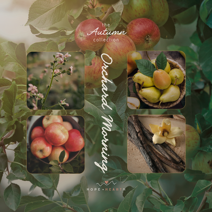 Orchard Morning