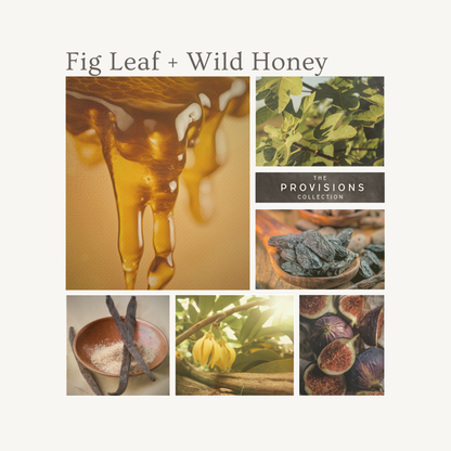 Fig Leaf + Wild Honey