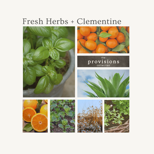 Fresh Herbs + Clementine